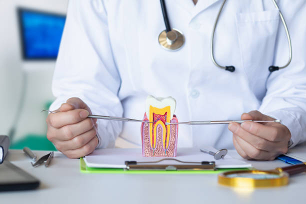 Best Pediatric Emergency Dentist in King, WI
